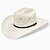 Chapéu Resistol 20X All My EX´s George Strait - Imagem 1