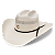 Chapéu Charlie 1 Horse Cool Hand - Imagem 1