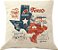 Capa Almofada Texas - Imagem 1
