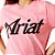Camiseta Ariat 10063748 - Imagem 3