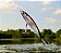 Isca Lori Fatal 90 cor 50 - Imagem 1
