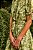 VESTIDO MAGRITE - Imagem 3