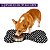Tapete Comedouro Pet Antiderrapante Cachorro Gato - Imagem 3