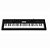 Teclado Musical Casio Ctk3500 Usb/midi - Aplicativo Chordana - 400 Timbres - 100 Ritmos - Imagem 4