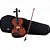 Violino 4/4 Va-10 Spruce Maple +Case +Arco +Breu Harmonics - Imagem 8