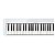 Piano Digital Casio Privia PX-S1100 Branco + Suporte Duplo - Imagem 5