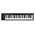 Kit Home Studio Rad Completo + Teclado Controlador Nektar GX61 - Imagem 2