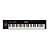 Teclado Roland XPS-10 Sintetizador Profissional - 61 Teclas - Imagem 1