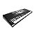 Kit Teclado Musical Pegasus P222 - Ritmos Brasileiros + Suporte em X + Banqueta - Imagem 2
