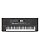 Kit Teclado Roland E-X50 61 Teclas + Capa + Suporte em X + Pedal Sustain - Imagem 2