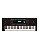 Kit Teclado Arranjador Roland E X20A + Suporte em X + Capa + Pedal Sustein - Imagem 2
