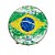 Pandeiro 10" Pele Leitosa Brasil Vanguarda - Imagem 1
