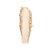 PÓ COMPACTO BAKED FLITER PB-10 HB-M408-1 RUBY ROSE BLOW - Imagem 2
