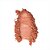 BLUSH COMPACTO SILK SKIN LATTE LUXE HB-T1001-3 RUBY ROSE - Imagem 2