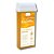 CERA EPILATÓRIA ROLL-ON NATURAL 100G DEPILFLAX - Imagem 1