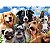 Quebra Cabeça Puzzle De 500 Peças Selfie Pets Grow - Imagem 4