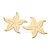 Brinco Formato Estrela Do Mar Com Trabalho Em Alto Relevomed 5,1 Cm X 5,1 Cm(Joia Licen Coleção Ana Hickmann) Rommanel - Imagem 2