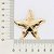 Pingente Formato Estrela Do Mar Com Trabalho Em Alto Relevomed 5,1 Cm X 5,1 Cm (Joia Licen Coleção Ana Hickmann) Rommane - Imagem 3