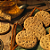 BISCOITO FIBRAS SCHAR 150G - Imagem 2