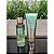 KIT BODY SPLASH + CREME VICTORIA'S SECRET - PEAR GLACE - Imagem 2