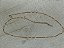 Choker corrente grumet - Imagem 3