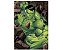 Quebra-Cabeça 60 Peças Os Vingadores Hulk 2685 Toyster - Imagem 2