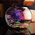 Aquario De Vidro Redondo Grande 15x19cm 402 Crystalis - Imagem 2