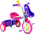 Triciclo Honey Bee Nathor - Imagem 1