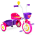 Triciclo Honey Bee Nathor - Imagem 2