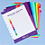 Divisórias Colorcode Grande 10 Matérias CIDG4004 Caderno Inteligente - Imagem 2