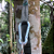 2 Peças Tiras de Rede com 8 Alças – Set Straps: Cinta Para Rede de Camping - Imagem 10