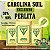 CAROLINA SOIL  50% TURFA / 50% PERLITA 8KG/45L - Imagem 1