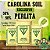 Substrato Carolina Soil 50% Turfa e 50% Perlita 45 L (8 kg) - Imagem 1