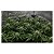 ProNet+ Rede Elástica Modulável para Cultivo - Imagem 5