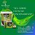 CHÁ REGU LIFE - PACOTE 120 G - Imagem 2