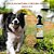 Spray Neem Pet 180ml Openeem (Uso Animal) - 3 Unidades (FRETE GRÁTIS) - Imagem 2