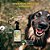 Spray Neem Pet 180ml Openeem (Uso Animal) - 4 Unidades (FRETE GRÁTIS) - Imagem 2