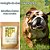 Suplemento Neem Pet 100g - Bem-Estar Natural para Seu Pet - Imagem 2