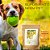 Suplemento Neem Pet 100g - Bem-Estar Natural para Seu Pet - Imagem 5