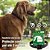 Coleira Repelente Natural Erva de Santa Maria e Neem Cães acima 15kg - Pet Vegan - Imagem 2