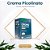 Cromo Picolinato 250mcg 60 Tabs Lauton - Metabolismo Ativo - Imagem 2