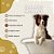 Shampoo Neem Pet 180ml para Cães e Gatos Openeem - 3 Unid. - Imagem 3