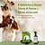 Kit Neem Pet Proteção Coleira e Spray Cães Até 8kg e Gatos - Imagem 2