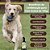 Spray Neem Pet + Coleira Erva de Santa Maria Cães acima 15kg - Imagem 3