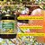Kit Respire Bem | Edição Limitada de Fortalecimento Natural - Imagem 6