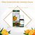 Óleo Essencial de Laranja Doce 5ml WNF - Revitalizante - Imagem 2