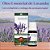 Óleo Essencial de Lavanda WNF - Relaxamento Puro 5ml - Imagem 3