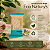 Kit 500 Sabonete 15g em Barra Eco Natury's – Sustentabilidade e Cuidado em Cada Detalhe - Imagem 4