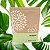 Kit 500 Shampoo Ecológica 30ml Sustentavel Hotel, Pousada, Resorts - Imagem 3