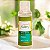Kit 200 Shampoo Erva Doce Frasco 35ml Naturys - Imagem 2